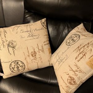 Two Decorative Throw Pillows